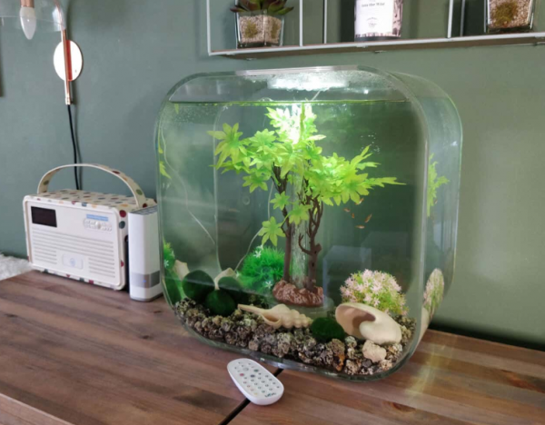 Aquarium modern dan canggih dengan desain biorb